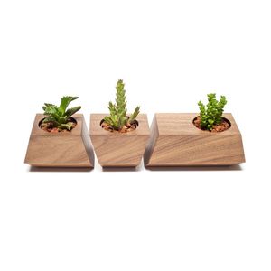 Ensemble de supports pour plantes miniatures, design minimaliste moderne, fabrication artisanale, qualité supérieure, prix d'usine en gros - Product Image 1