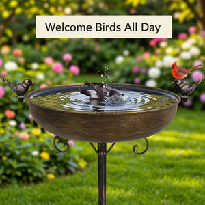 Bain d'oiseaux en métal de haute qualité pour usage extérieur, finition durable, design résistant à la rouille, bassin d'eau adapté aux oiseaux, support inclus. - Product Image 1
