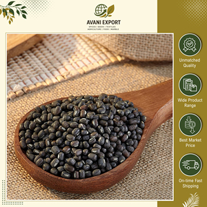 Urad Dal Entero Más Vendido, <span class=keywords><strong>100</strong></span>% Natural, <span class=keywords><strong>Lentejas</strong></span> Indias Negras Ricas en Proteínas, Ideales para Comidas Diarias y Recetas - Product Image 4