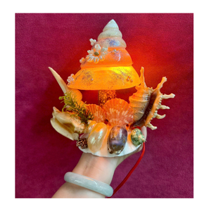 Decorative Scallop <b>Shell</b> Night <b>Light</b> Handmade Seashell Lamp Natural Coastal Table Lighting for Bedroom Home Interior Decor - Product Image 2