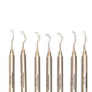 Ensemble de curettes dentaires manuelles en acier inoxydable personnalisées, de haute qualité, polies, prêtes à être expédiées, kit de curettes Gracey - Product Image 4