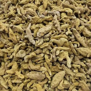 Cúrcuma en Polvo Cruda de Alta Calidad |   Cúrcuma Entera de Grado Alimenticio, 24 Meses de Vida Útil, Exportador Indio, Suministro a Granel - Product Image 4