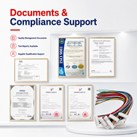 Arnés de Cableado JST Personalizado, Conjunto de Cables con Conector Multipin, Cable Codificado por Colores para Equipos Electrónicos, Suministro OEM ODM