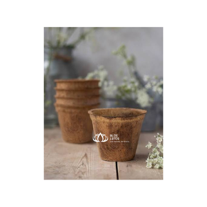 Meilleur pot en fibre de coco durable BEST Blue Lotus Ben Tre Country Coir pour semis, plantation et croissance, vente en gros et exportation - Product Image 1