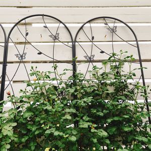 Set di 2 Tralicci da Giardino in Metallo Nero Antiruggine 220 cm x 50 cm, Supporto per Fiori da Esterno per Piante Rampicanti, Decorazione a Farfalla - Product Image 4