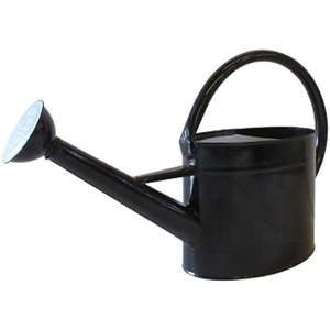 Arrosoir en acier galvanisé de style antique pour la décoration de la maison et le jardinage, pot à eau en métal pour plantes d'intérieur et d'extérieur - Product Image 4