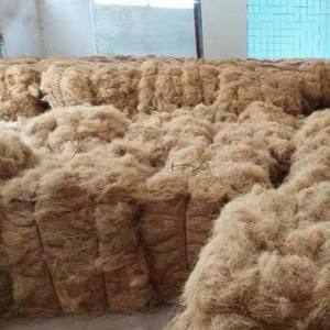 Fibra de Coco Larga y de Baja Humedad para Fabricación de Colchones en Fardos de 120 KG, Fibra de Coco Ecológica de 75 cm en Venta - Product Image 2