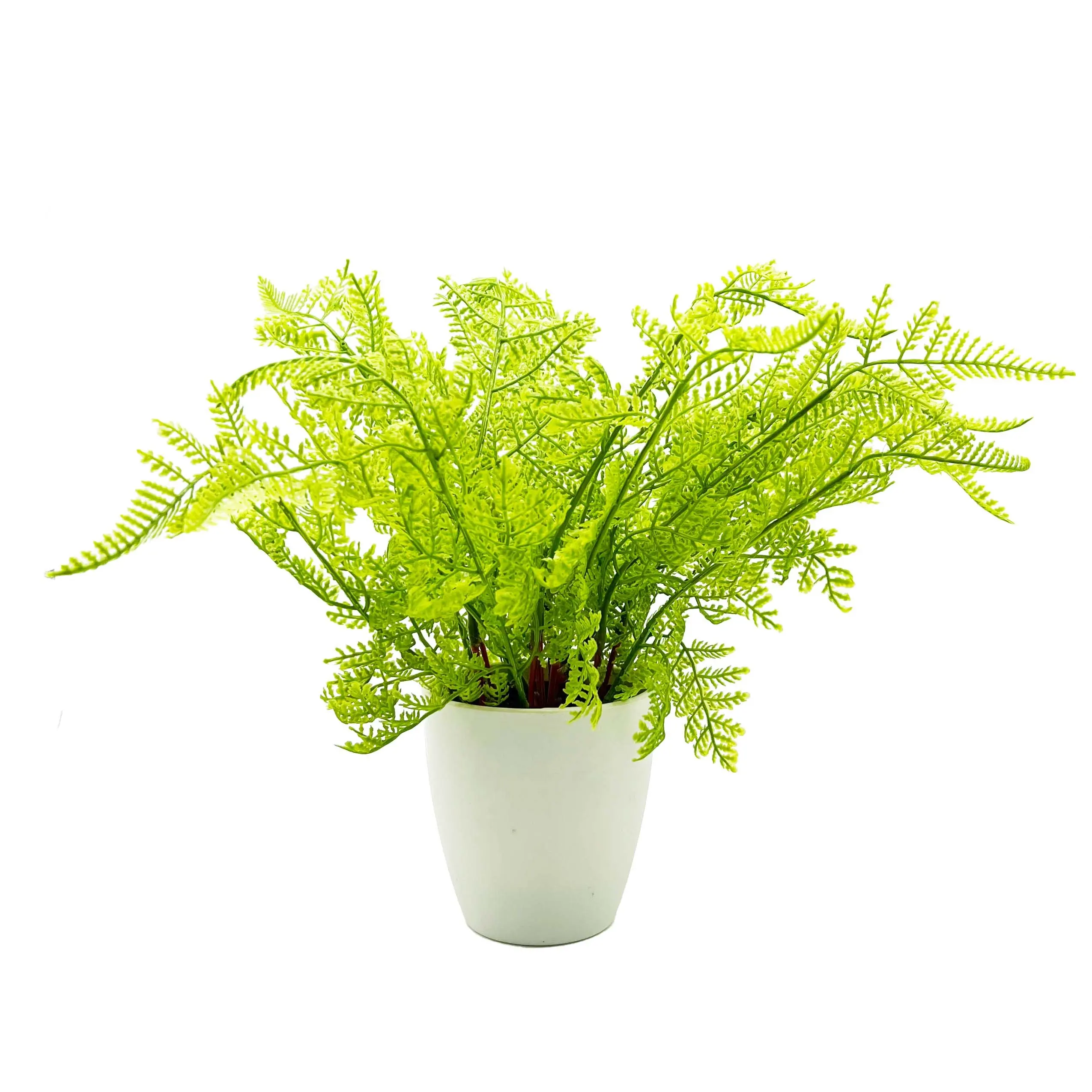 Wholesale PE green table everyday home decor luxury eagle fern in plastic pot glam for other home decor cafe decor