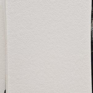 Meilleure Vaisselle de Cuisine Écologique en Pulpe de Bambou Vierge Blanche, Sans Mousse, en Fibre de Bois, Papier Kraft en Pulpe de Bois Dur Blanchie - Product Image 3