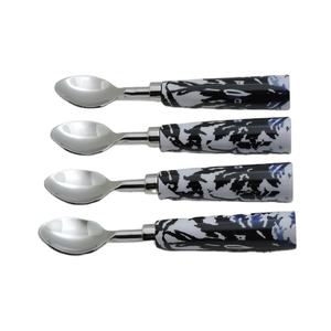 Mango impreso esmaltado y cuchara de té de acero inoxidable, Juego de 4 piezas para juego de cubiertos al por mayor, juegos de vajilla, gran oferta - Product Image 1
