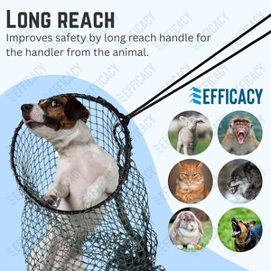 Attrape-animaux ACN-MS-RND-Fix - Product Image 6