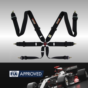 Brand Wholesale TBRACING ECO FIA Approved 6 Point Motorsport Harness 16 Colors Webbing OEM ODM Custom Service Supply - Product Image 2