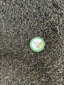 POIVRE NOIR PREMIUM 500, 550, 570G/L GRANDE SAVEUR DE POIVRE NOIR POUR LE MARCHÉ MONDIAL - Product Image 3