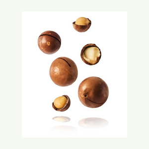 Nueces de Macadamia al Por Mayor a Precio de Fábrica, Nueces de Macadamia Tostadas - Product Image 2