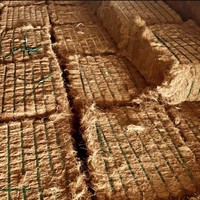 Fibre de coque de noix de coco de qualité supérieure à prix d'usine / Fibre de noix de coco séchée / Fibre de coco, agriculture biologique tendance et compétitive