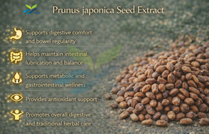 Suministro Directo de Fábrica HGO de Extracto Natural de Semilla de Sésamo Negro (Sesamum indicum) Grado Alimenticio Especificación 10:1 - Product Image 2