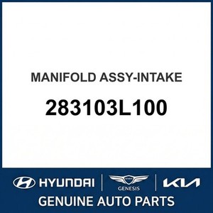 Nuevos Colectores de Admisión G70 283103L100 - Product Image 1