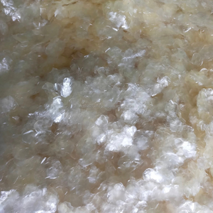 Escamas de Pescado Secas Grandes (Tilapia Barramundi) en Polvo para Uso Cosmético |   Colágeno de Pescado |   No soluble en agua |   Vida útil de 2 años | - Product Image 2