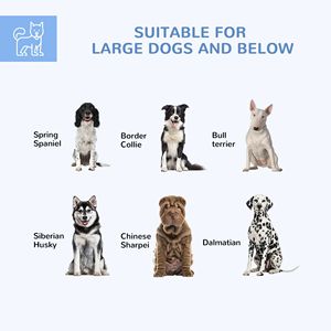 Cuccia per Cani da Esterno con Tetto Impermeabile Resistente ai Raggi UV 6.9 X 6.1 X 4.9 per Cani di Taglia Media e Grande Argento - Product Image 3