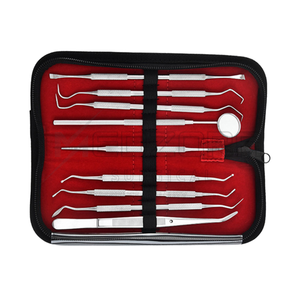 Juego de 9 Instrumentos Manuales de Titanio para Higiene Bucal, Estuche con Herramientas Dentales para Limpieza de Dientes y Encías, Removedor de Sarro, Cálculos y Placa, Quirúrgico - Product Image 1