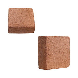 Reasonable price cocopeat for plant sprouting soil improvement suitable for all plant types used for cultivation healthy roots - Product Image 1