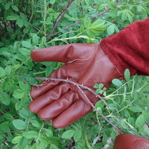 Gants en cuir pour femmes, Protection des mains, pour le travail du jardinage, - Product Image 2