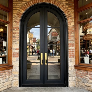 Modern wrought-iron exterior entryway door featuring an arched design with glass panels; rust-resistant and easy to install. - Product Image 4