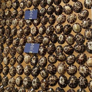 Coquillages ovales de limaces marines du Vietnam 2026, polis et propres, pour bijoux DIY et décorations côtières faites à la main - Les plus recherchés - Product Image 4