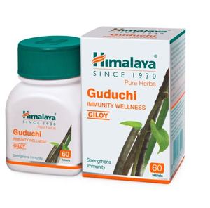 Capsules Guduchi, complément alimentaire Giloy, stimulant immunitaire, soutien au bien-être - Product Image 1