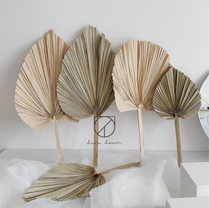 Abanico Decorativo de Palma Popular para un Ambiente Estético, Aspecto Natural y Limpio - Product Image 4