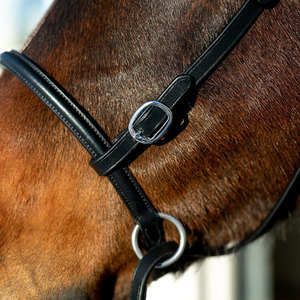Bridas de Cuero de Alta Calidad para Montar a Caballo - Cómodas, Precio Razonable, Hechas en Pakistán - Product Image 6