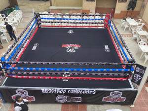 Cubierta de Lona para Ring de Boxeo IRSA SPORTS Personalizada, Cubierta de Piso de PVC/Vinilo Resistente, Modelo IRSA-254801, Equipo de Gimnasio OEM - Product Image 2