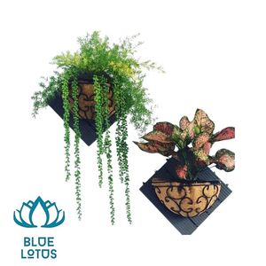 Meilleures ventes : Pot en fibre de coco biodégradable et écologique avec trou de drainage pour le démarrage des graines et la croissance des jeunes plantes en pépinière - Product Image 1