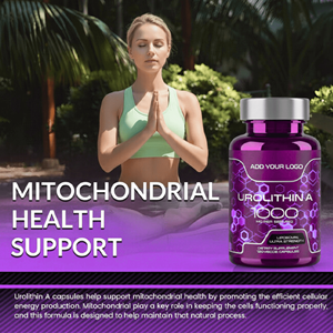 OEM/ODM Marque privée Capsules d'Urolithine A Complément alimentaire à base de plantes Marque privée Capsules d'Urolithine A liposomales pour adultes - Product Image 5