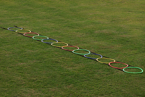 Escalera de Agilidad Portátil, Aros de Entrenamiento de Equilibrio, Set de Práctica de Coordinación para Juego en Interiores y Exteriores - Product Image 5