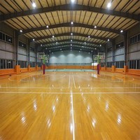 Estructura de acero Gimnasio Edificio Prefab Indoor Sports Hall Center para baloncesto Fútbol Tenis