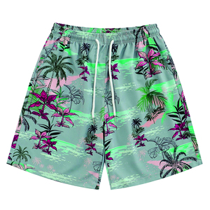 Shorts de sport décontractés en toile pour hommes, respirants et à séchage rapide, service OEM personnalisé, vente en gros, collection 2026 - Product Image 1