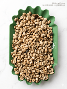 [Gran Venta] Granos de Café Verde Robusta S16 Vietnamita Dak Lak DHPONE Grado AA 100% Natural Color Natural Sabor Neutro Sin Alérgenos - Product Image 2