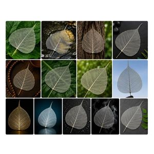 AQUA VRIKSHA Premium Natural Skeleton Bodhi Leaves for Crafts, Decoration, Resin Art & Floral Arrangements|Pack of 500 - Product Image 4