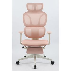 Sedia da Ufficio Ergonomica con Schienale Alto, Supporto Lombare Dinamico, Poggiatesta 2D, Braccioli 2D e Poggiapiedi - Product Image 3