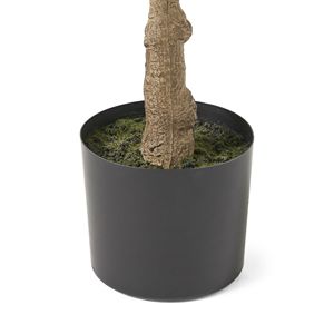 Albero Artificiale di Ficus Lyrata da 59 Pollici - Product Image 5