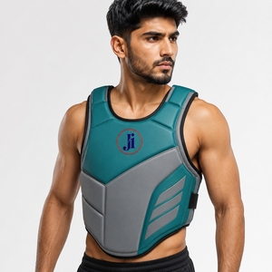 Protège-poitrine professionnel pour le sport, équipement de protection durable, matériau léger, ajustement confortable pour l'entraînement et la pratique, OEM - Product Image 1