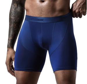 Sous-vêtements pour hommes antibactériens avec mélange de polyester et de spandex - Product Image 1