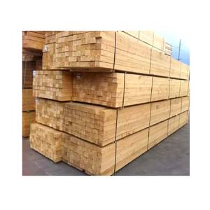 Troncos de Madera Blanda de Alta Calidad, Madera Duradera Perfecta para Muebles, Pisos y Aplicaciones Industriales - Product Image 4