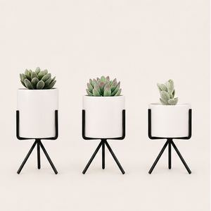 Macetas Modernas de Metal para Suculentas con Soporte de Trípode de Metal, Macetero Redondo Blanco Minimalista para Interiores, Decoración de Escritorio para el Hogar y la Oficina - Product Image 1