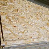 Panneaux de bois OSB de qualité supérieure à bas prix, 9 mm, 12 mm, 18 mm, 20 mm, 25 mm, imperméables, certifiés CE, pour la construction de toitures en extérieur