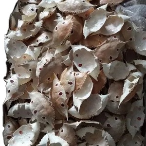 VIETNAM EXPORTA GRANDES CANCHAS DE CANGREJO EN POLVO COMO FERTILIZANTE DE CALIDAD QUE APOYA PRECIOS COMPETITIVOS - Product Image 1