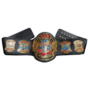 2025 New Custom IWGP United States Championship Title Wrestling <b>Belt</b> Brass Material Top Quality Wholesale Manufacturer - Product Image 1