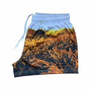 Shorts de course d'été pour hommes en toile respirante à séchage rapide avec logo personnalisé imprimé, shorts de natation - Product Image 2