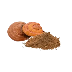 Extracto de Hongo Reishi Natural en Polvo, Ganoderma Lucidum Orgánico a Granel, Superalimento en Polvo para Reforzar la Inmunidad, Suplemento Herbal - Product Image 1